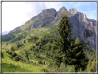 foto Passeggiata dal Col dei Balbi al Rifugio Coldai